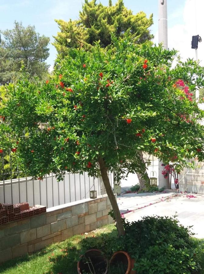 Fantastic Villa, A 5 Minute Drive From The Beach! Атина Екстериор снимка